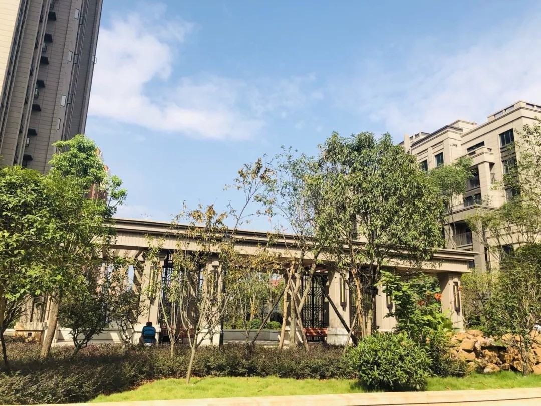 172221924.jpg 8882222.webp.jpg